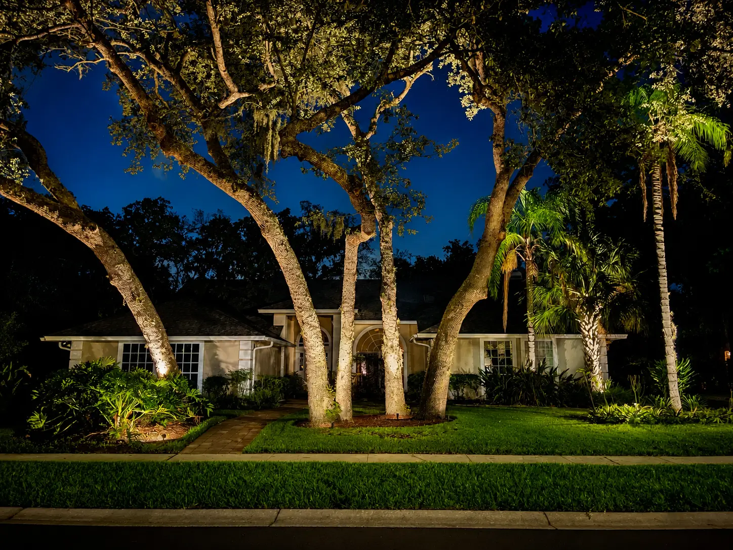 Architectural tree uplighting on mature oaks in Central Florida