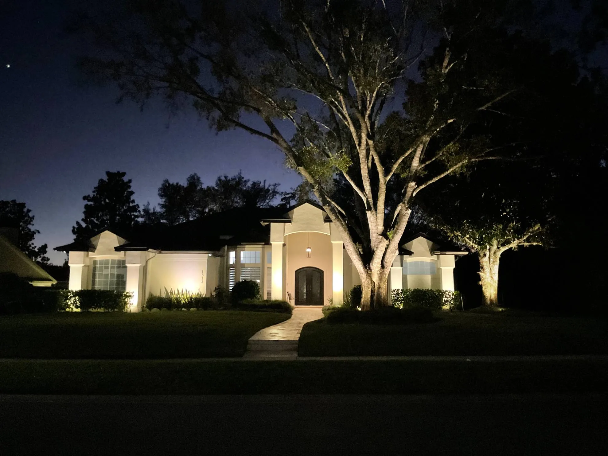 Oak tree uplighting at dusk in Casselberry, FL